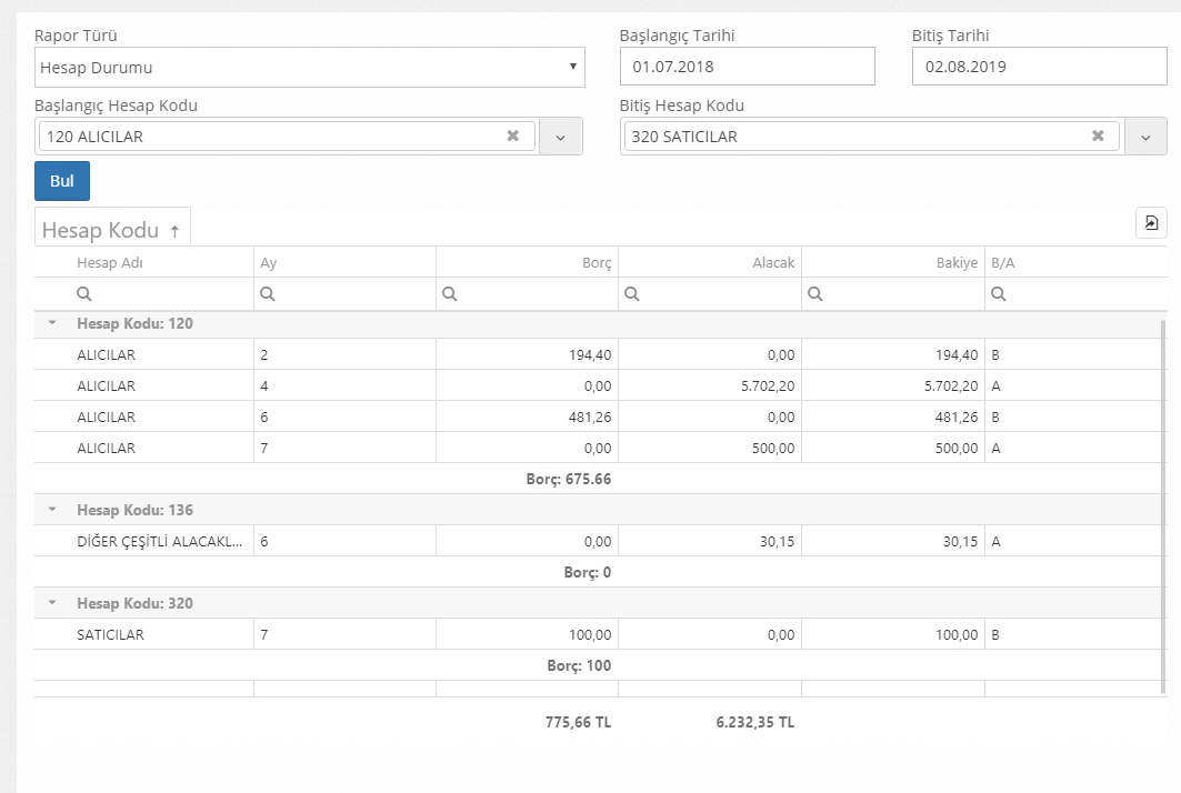 muhasebe raporu hesap durumu
